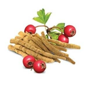 Daily Nutrients – wholesale Protein/superfood powder – ASHWAGANDHA POWDER1