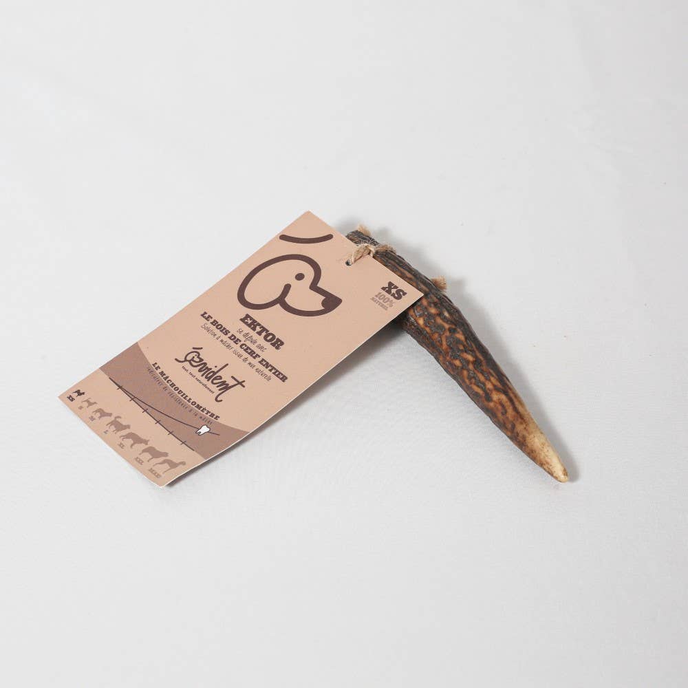 Evident - Wholesale Pet Bone/Rawhide - Dog - EKTOR - Whole deer antler to chew on for dogs8