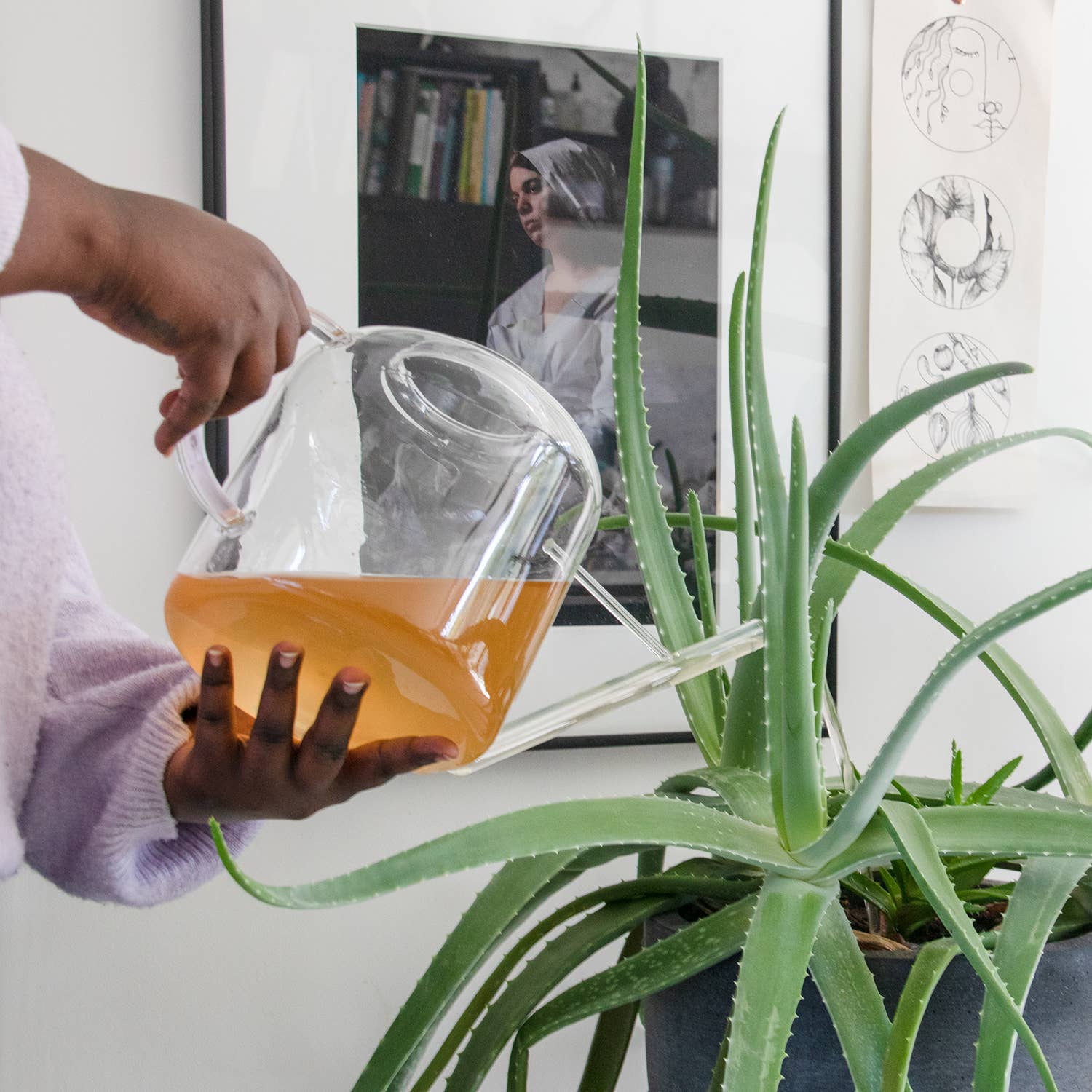 Botanopia - gifts , decor and cards for plant lovers - Wholesale Fertilizer - Complete Organic Plant Food - 450ml Pump Bottle2