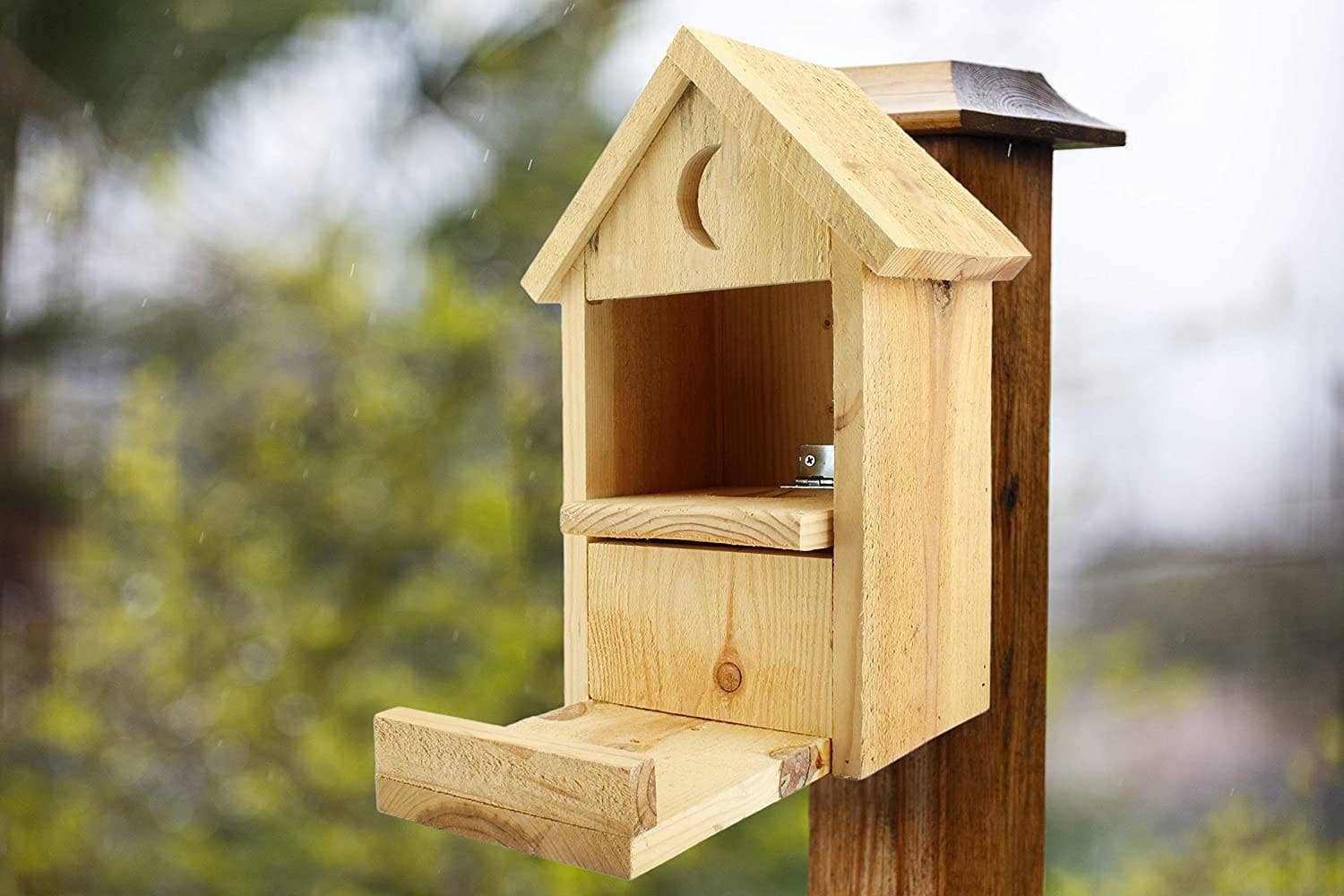 Kurated Korner – wholesale Bird feeder – Uncle Dunkel's Outhouse Squirrel Feeder1