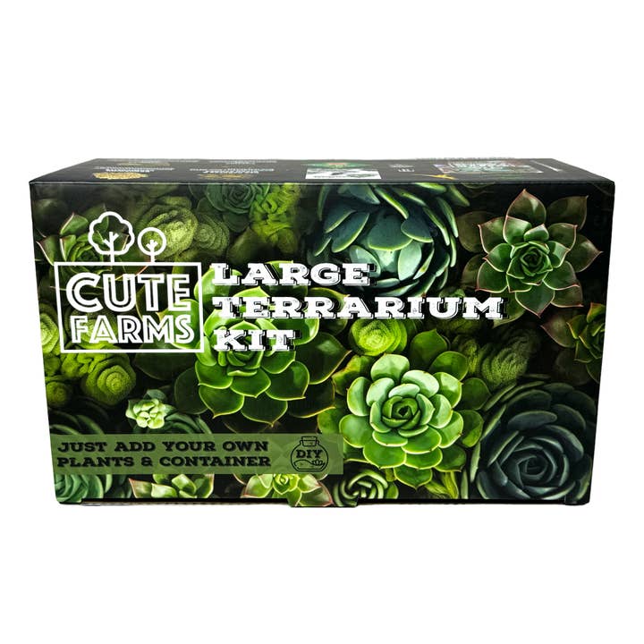Cute Farms - Wholesale DIY Craft Kit - Large Terrarium Kit