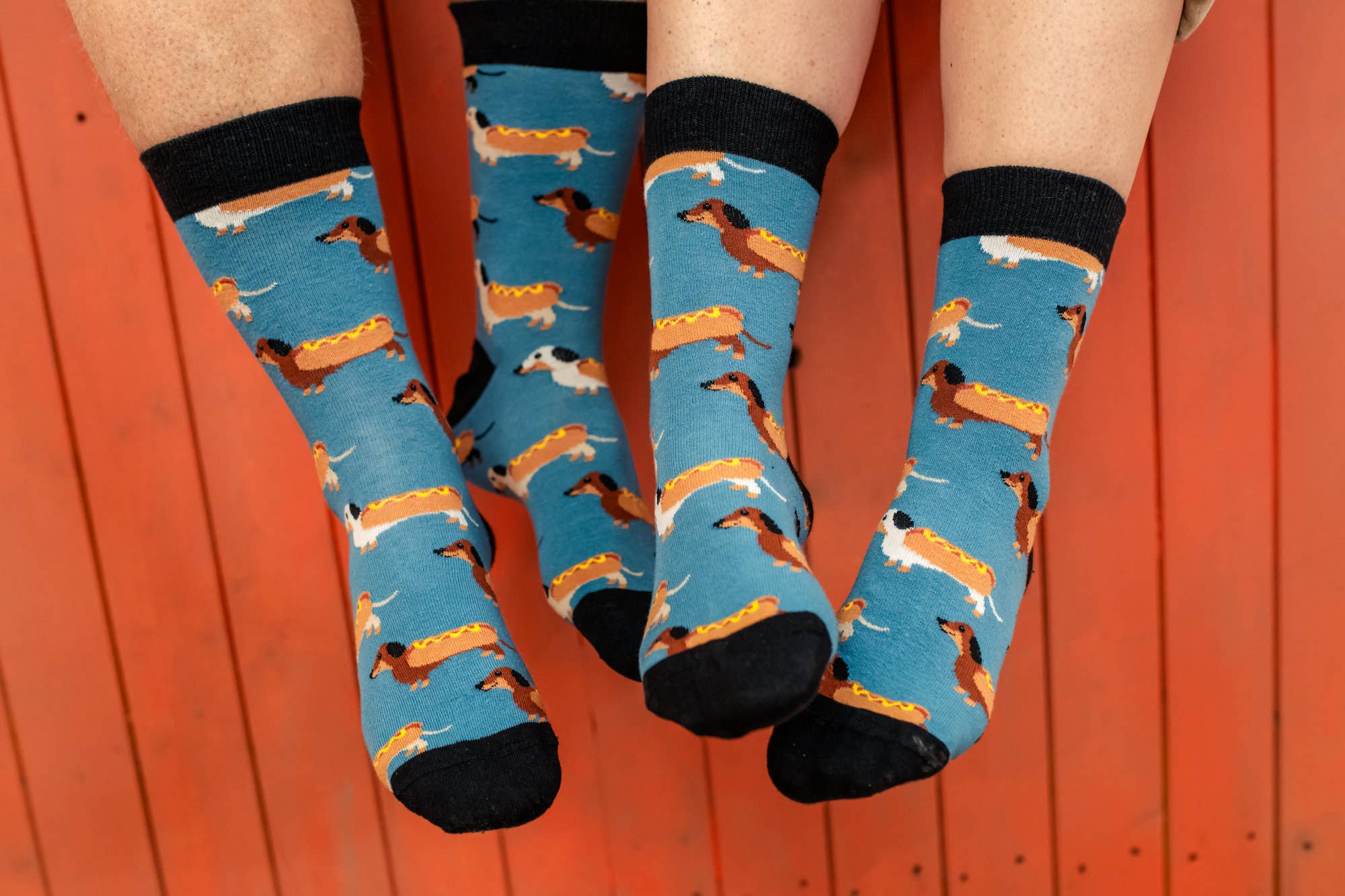 tintl - Wholesale Socks - Unisex - Animal - Hotdog2