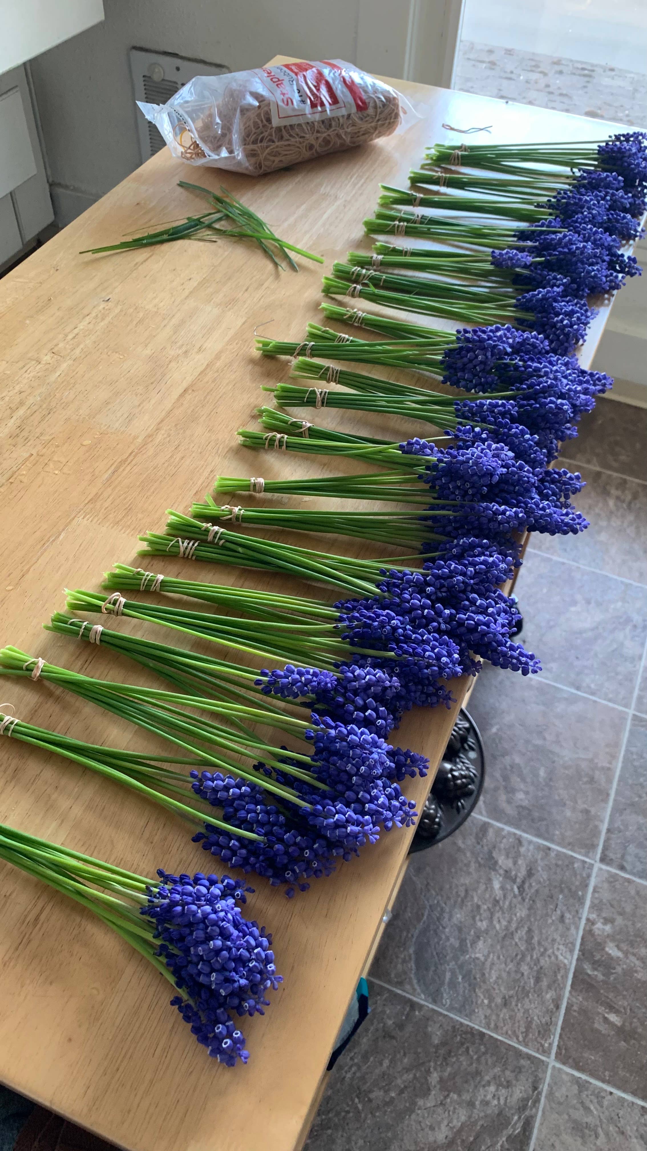 Twig and Snip - Wholesale Dried/Pressed Flowers - Dried Blue Grape Hyacinth Flowers - Natural Cool Tones7