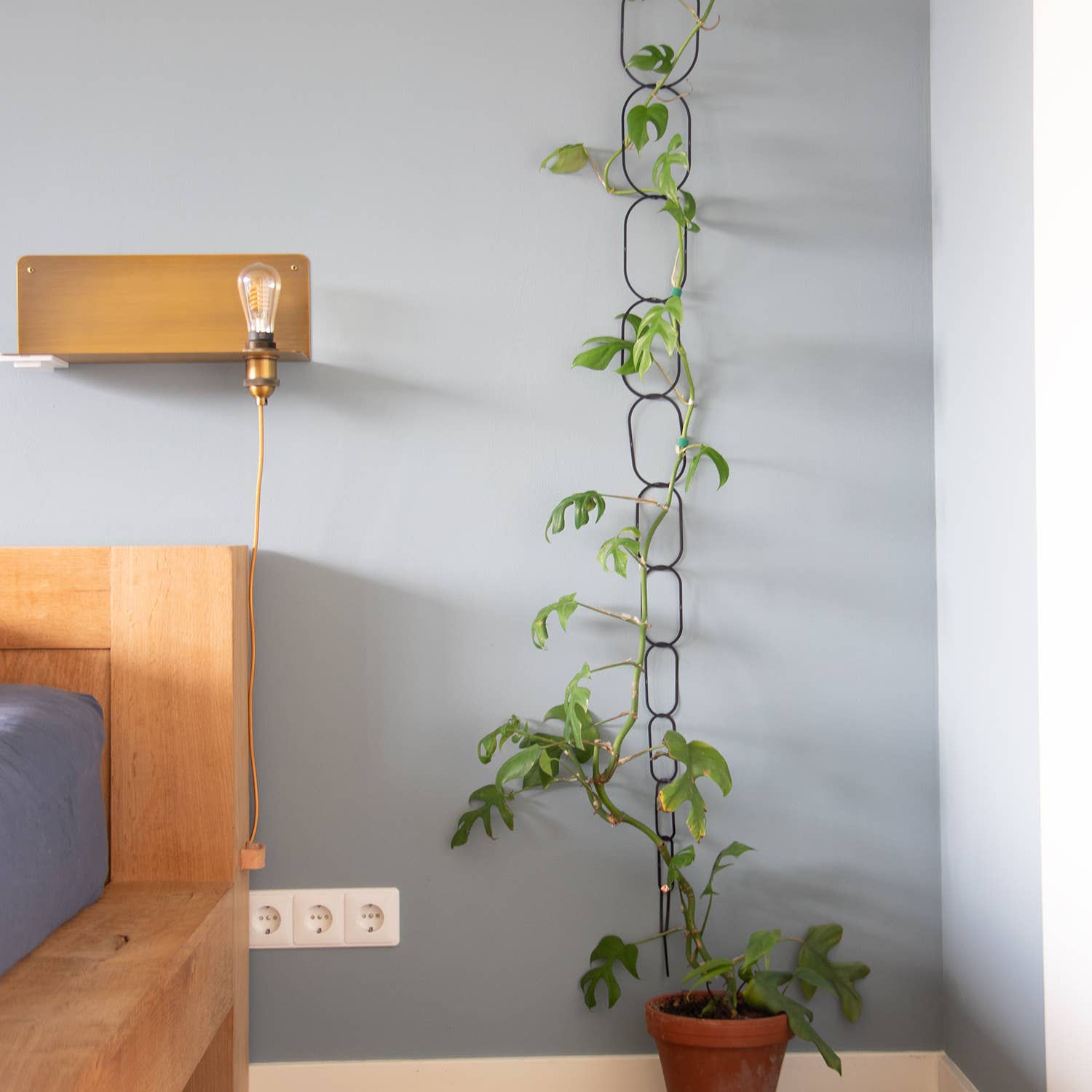 Botanopia - gifts , decor and cards for plant lovers - Wholesale Trellis - Black Brass Chain - Plant Support for climbing plants5