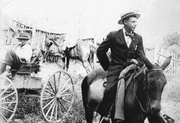 TG Designs - Wholesale Kitchen/Utility Knife - Bread Knife7