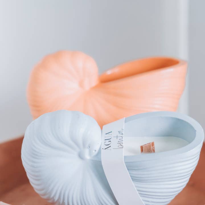 Agua Benta - Wholesale Jar/Filled Candle - Ostra shell candle soy wax1