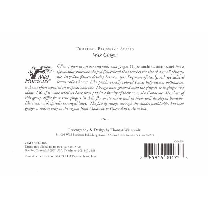 Wild Horizons Productions - Wholesale Stationery/Notecard Set - Notecard +Envelope: Tropical Flowers, Wax Ginger1