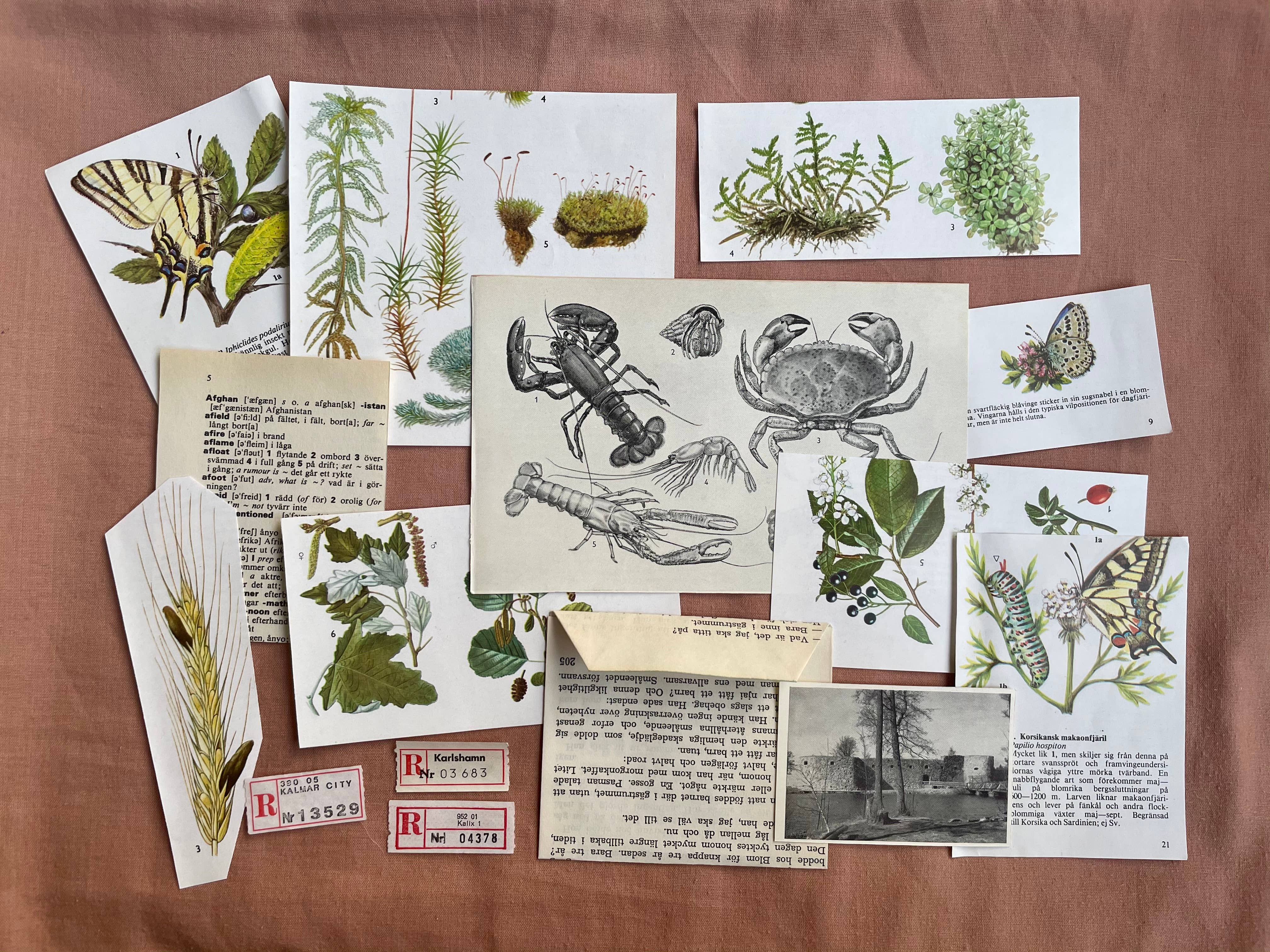 Eldfängda Design - Wholesale Scrapbook - Vintage paper ephemera bundle1