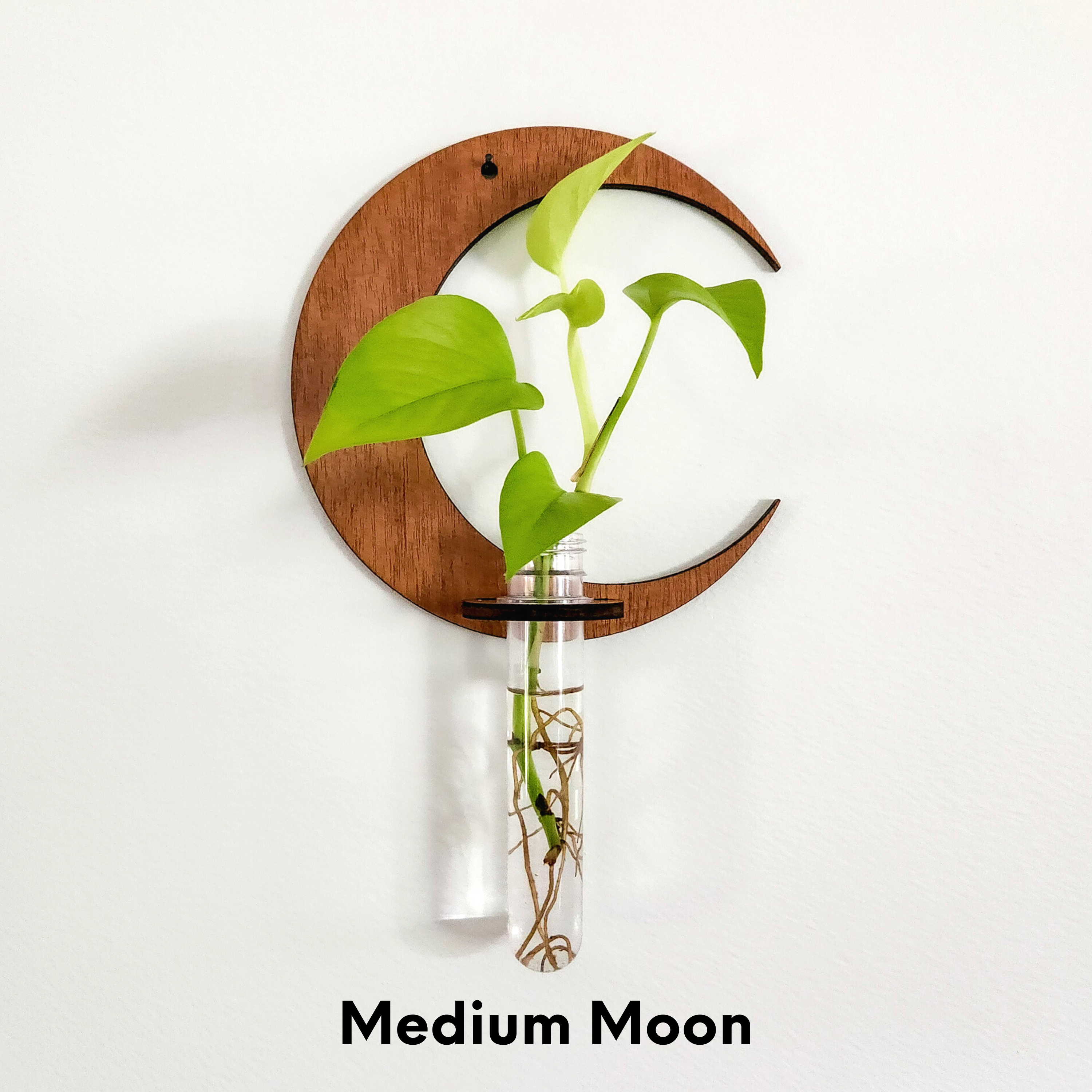 Leaf & Node - Wholesale Hanging Planter - Wall Hanging Propagation Station - Moon Test Tube Holder1