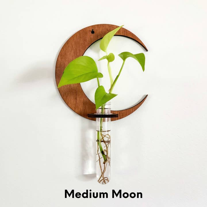 Leaf & Node - Wholesale Hanging Planter - Wall Hanging Propagation Station - Moon Test Tube Holder1