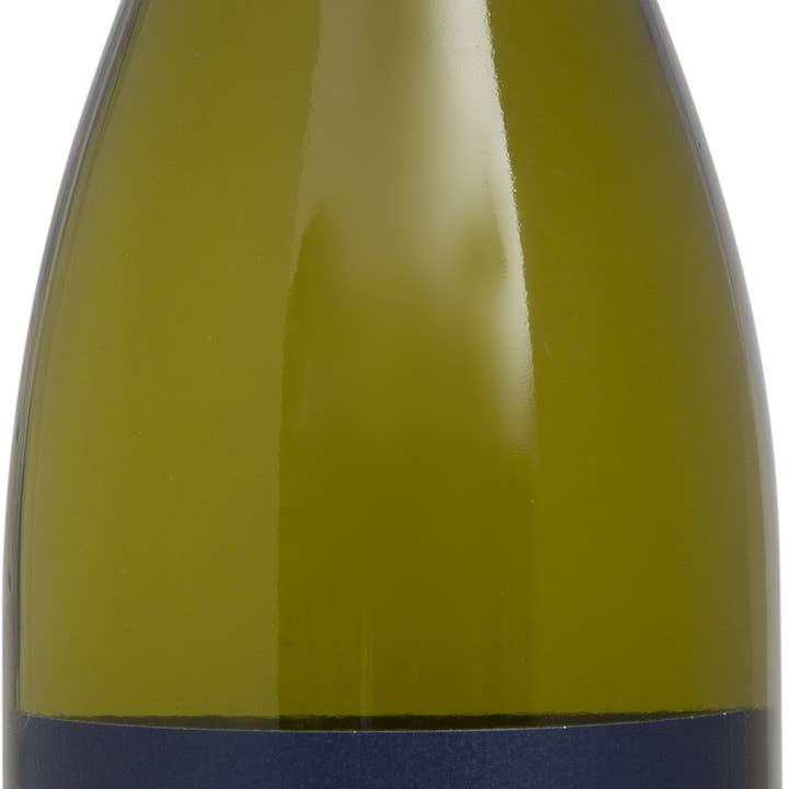 Pinot Blanc 2021 Pinot Blanc para venta al por mayor de burgenwein