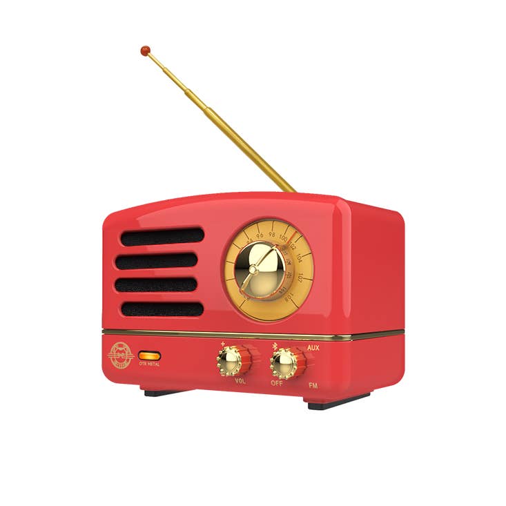 Muzen - Wholesale Speakers - MUZEN OTR Metal Wireless Portable FM Radio Bluetooth Speaker2