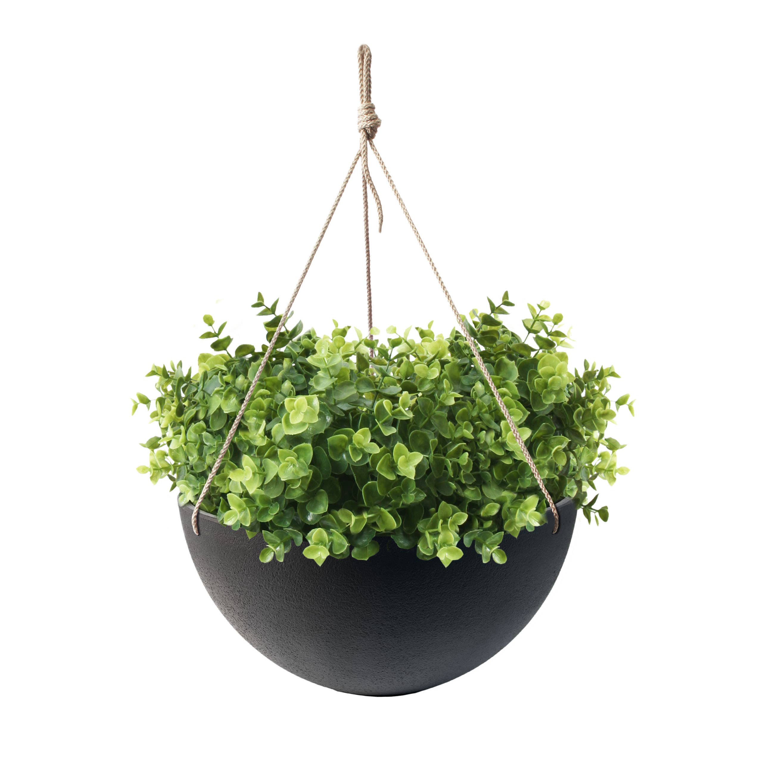 Algreen - Wholesale Hanging Planter - Algreen Acerra Hanging Planter 14"0