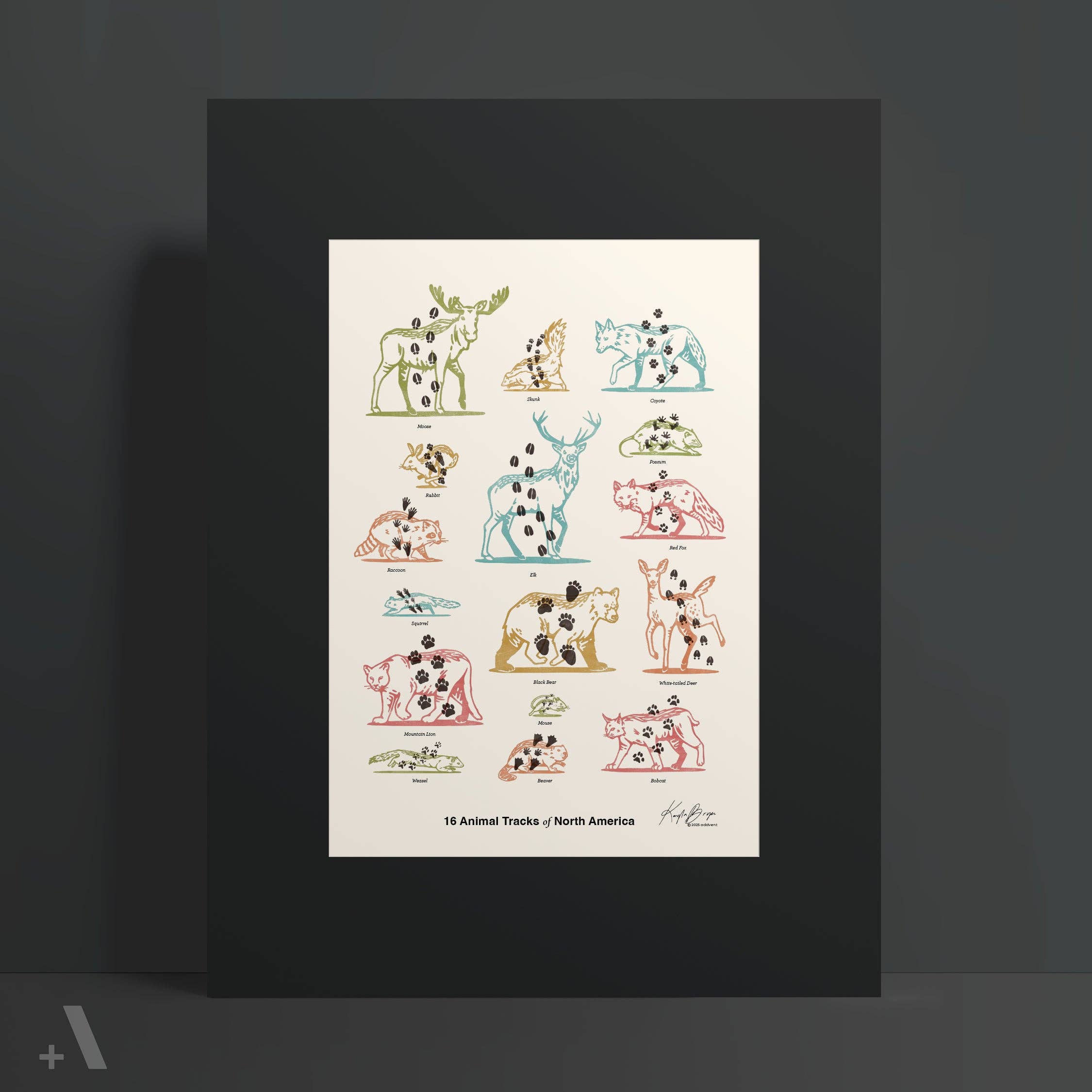 Addvent - Wholesale Art Print - Animal Tracks of North America / Poster Art Print3