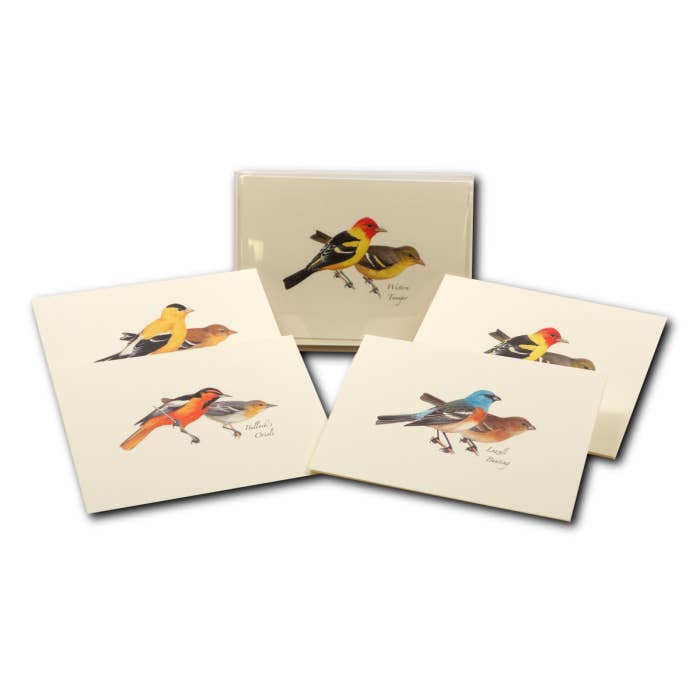 Earth Sky + Water - Wholesale Stationery/Notecard Set - Peterson Western Bird Assortment5