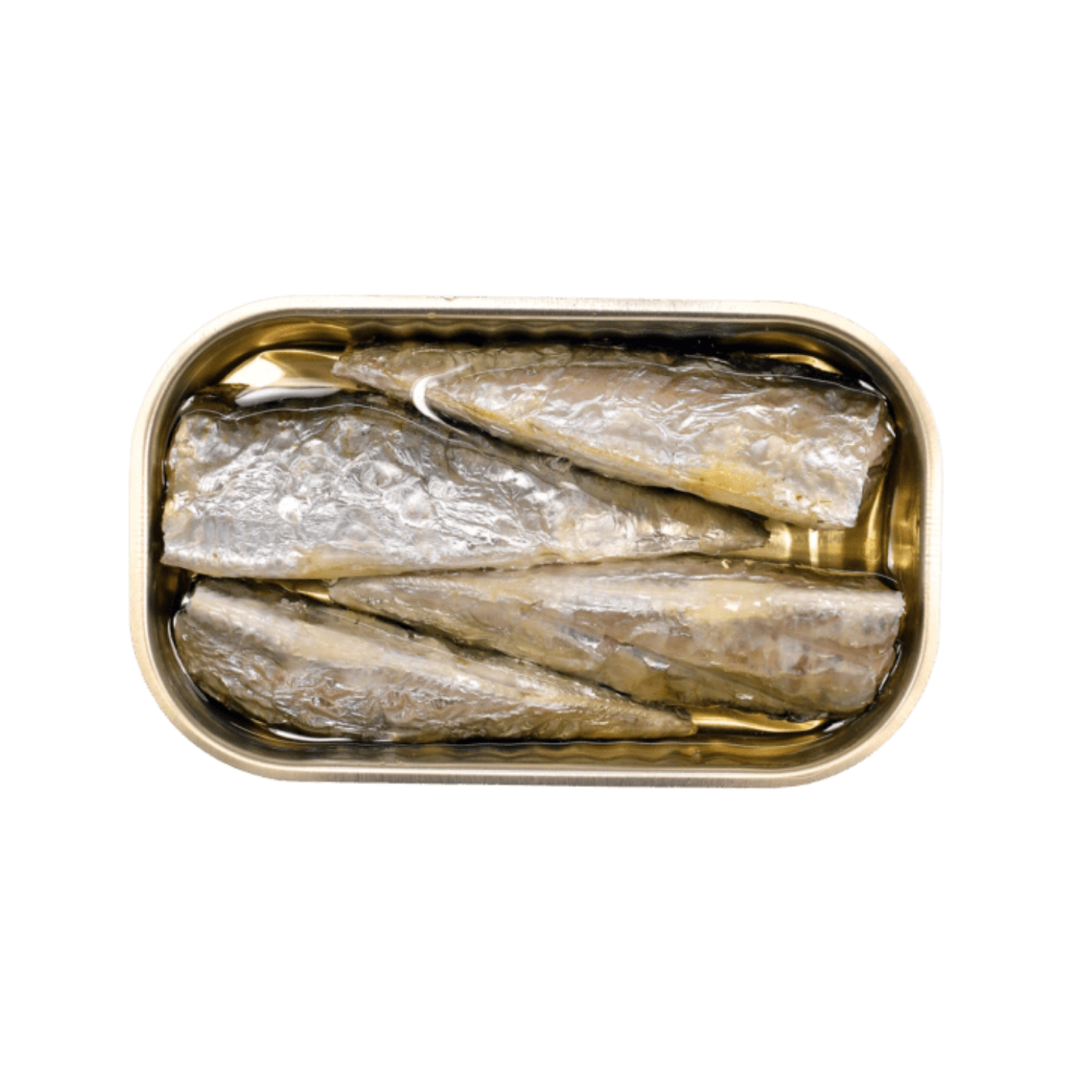 Portugalia Imports - Wholesale Tinned Fish - Minerva Sardines in Olive Oil1