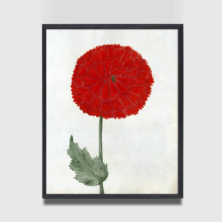 Capricorn Press - Wholesale Art print - Red Carnation Print1