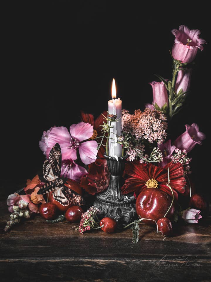 Like a Moth To a Flame | Art Print | Gothic Still Life for wholesale by Alyssa Thorne