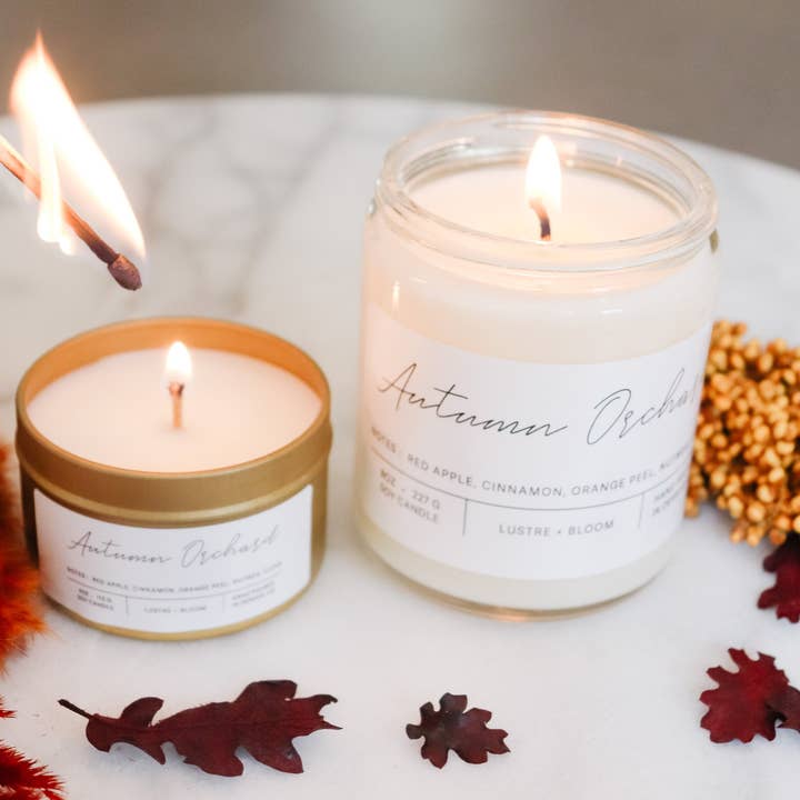 Autumn Orchard Soy Candle | Fall Collection | Thanksgiving Candle | Hand-Poured Scented Candle for wholesale by LUSTRE + BLOOM