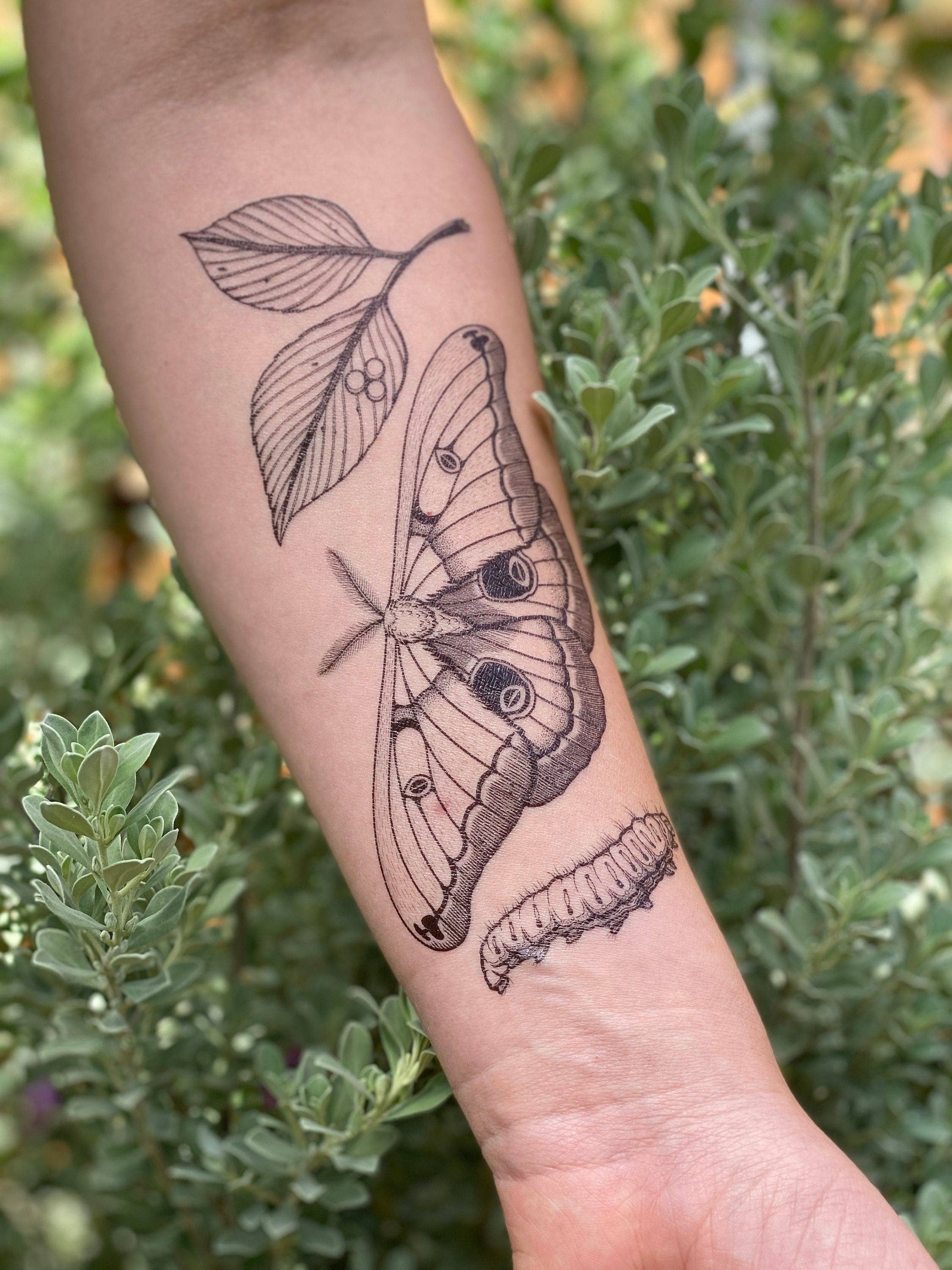NatureTats - Wholesale Temporary Tattoo - Polyphemus Moth Temporary Tattoo2