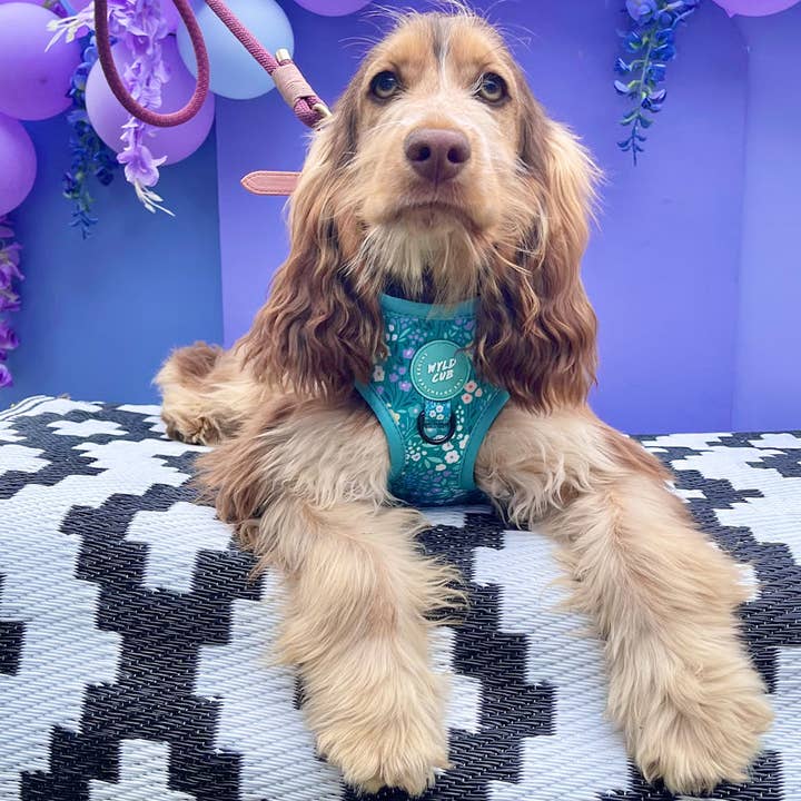 WYLD CUB - Wholesale Pet Harness - Dog - Adjustable Dog Harness: Notting Hill Mint26