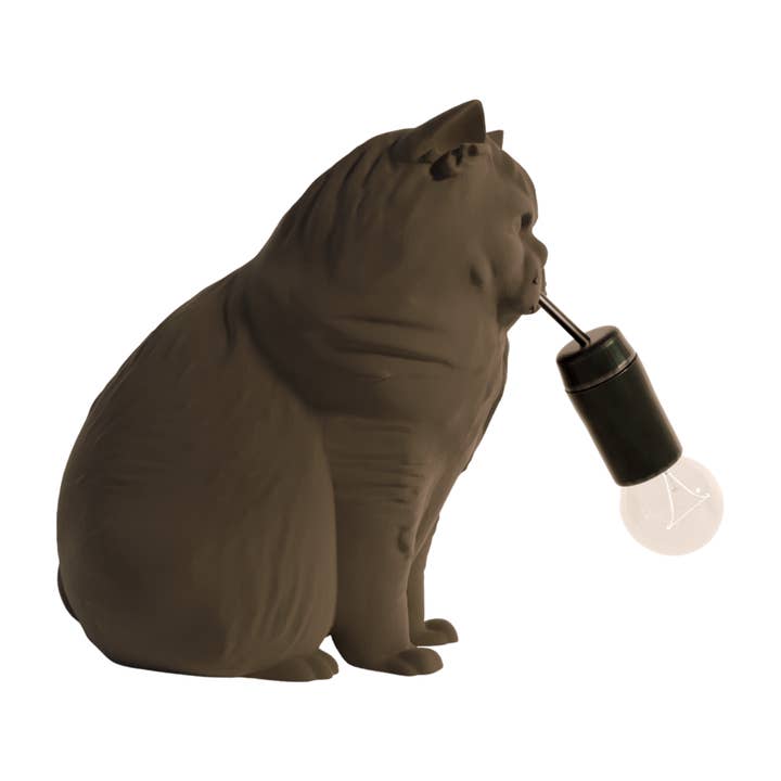 Fiastra Design - Wholesale Accent/Desk Lamp - Perzische Langharige Tafellamp3