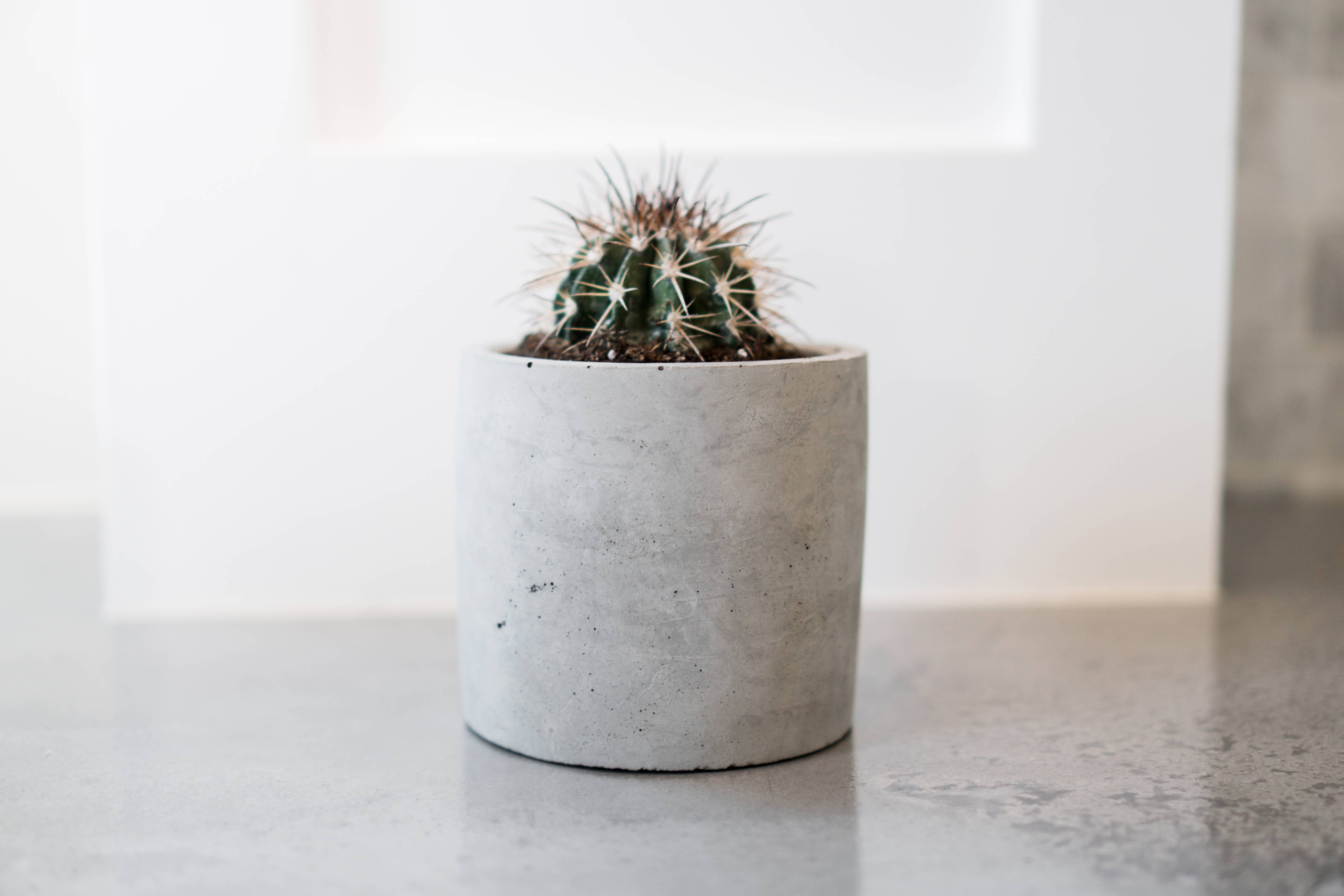 Made by Deborah - Wholesale Plant Pot - Medium Concrete Pot - No Holes