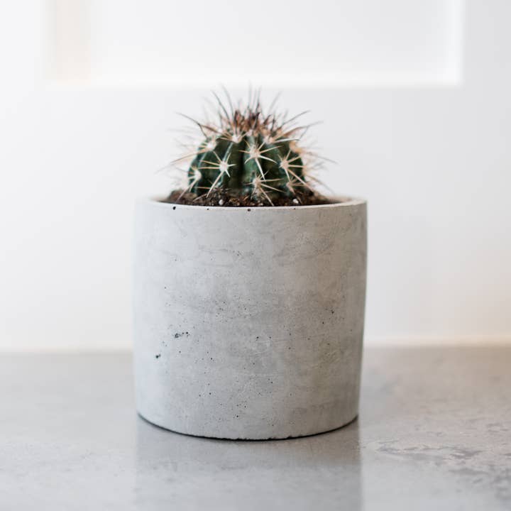 Medium Concrete Planter for wholesale by Made by Deborah