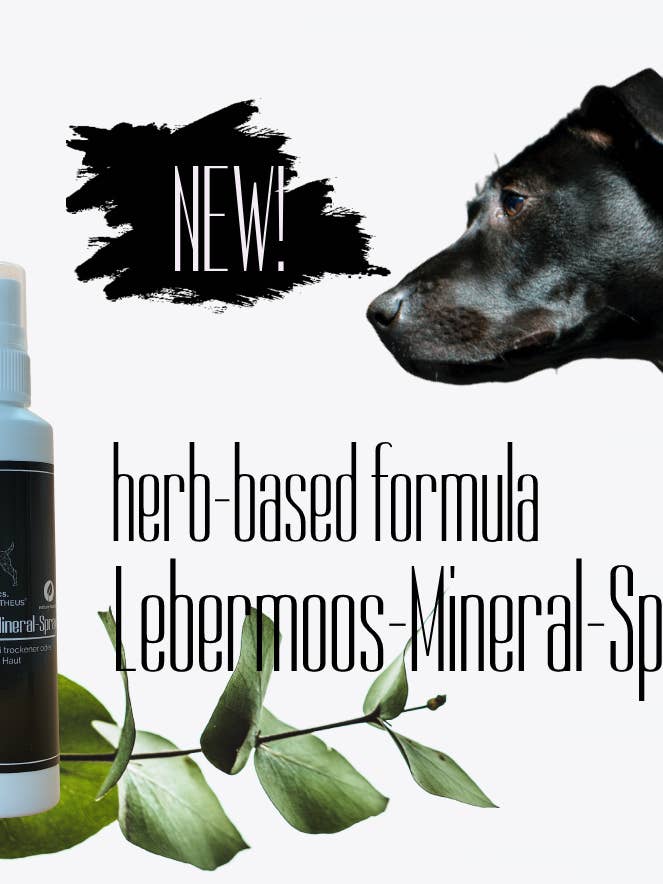 Liver moss mineral spray for skin & coat for wholesale by Prometheus Nutrition