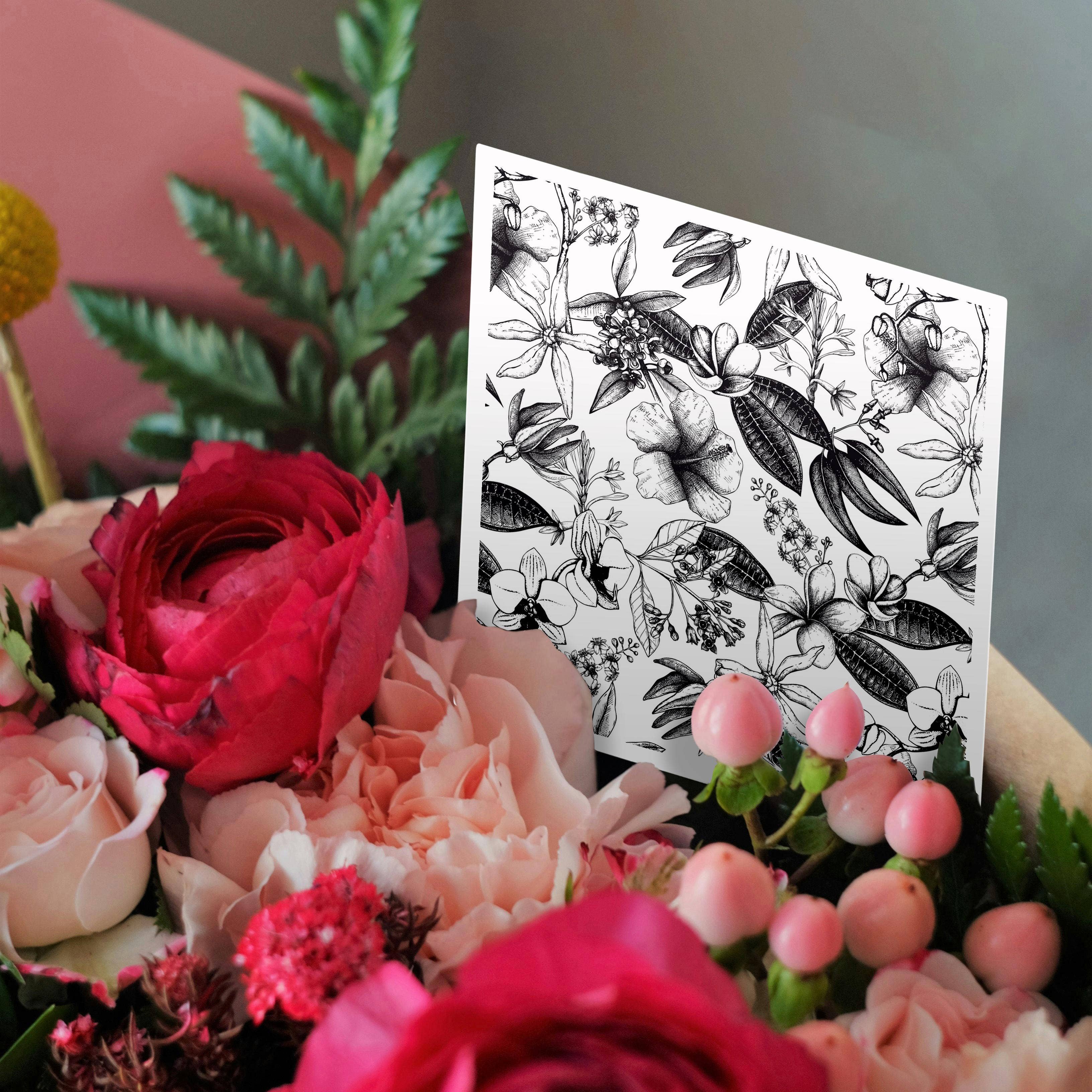 3dRose – Großhandel Grußkarten für den Alltag – 3dRose, Schwarz-Weiß Vintage Botanische Illustration, Grußkarte2