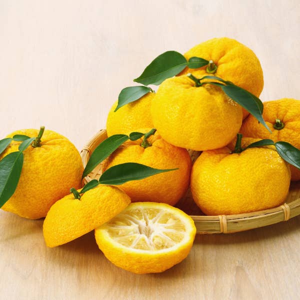 Wicked Soaps Co. - Wholesale DIY Craft Kit - Luxury Candle Making Kit | Soy Wax Wood Wick Candle | Wicked Soaps Co.13