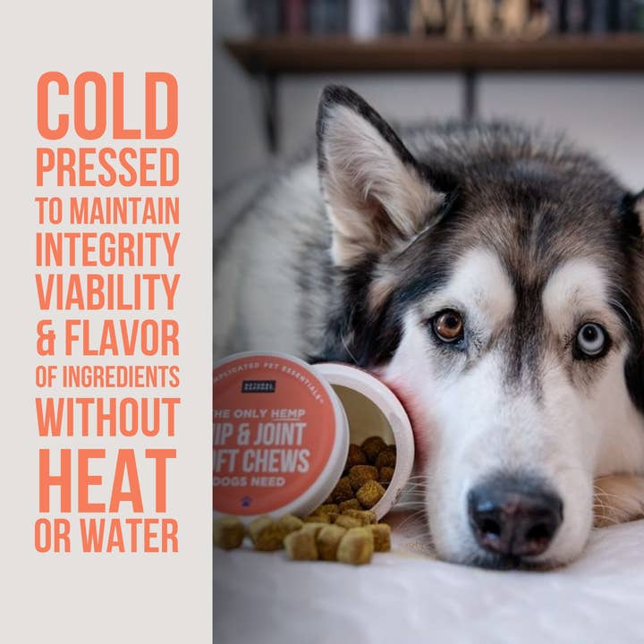 Natural Rapport - Wholesale Pet Supplement - Dog - The Only Hemp Hip & Joint Soft Chews Dogs Need