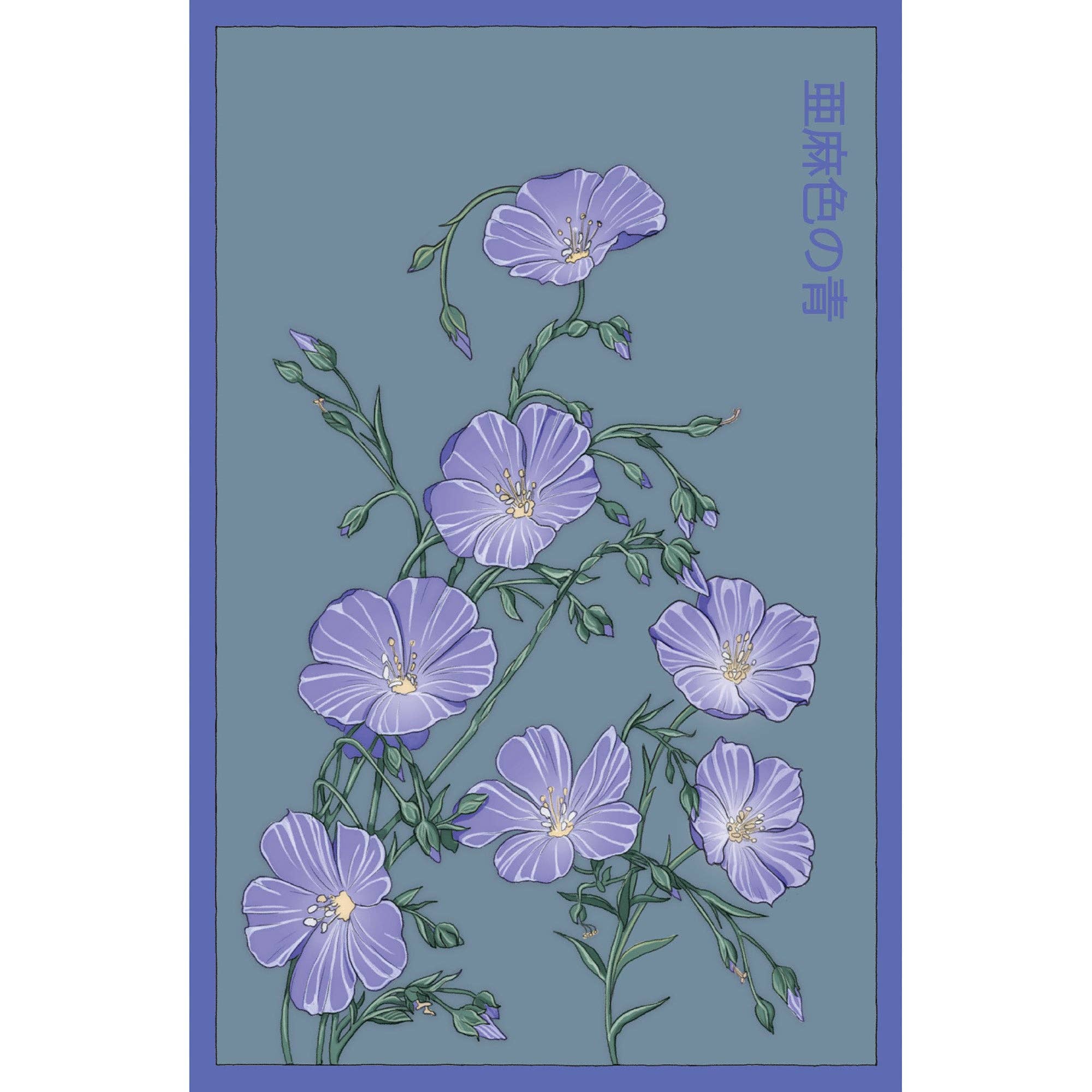 Chive Canada - Vente Graines de plantes - Shido Graines Lin Fleur Bleue Paquet de Plantes d'Intérieur0