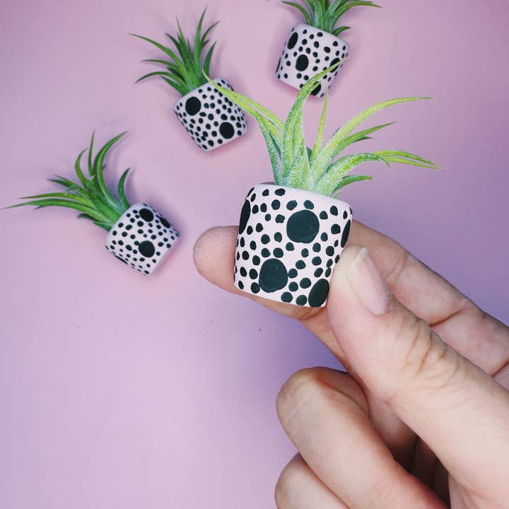 O'Berry's Succulents - Wholesale Plant Pot - Pink and Black Speckle Mini Planter2