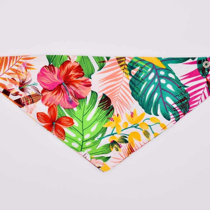 Dog Bandana Palm Fever for wholesale by pinkabell e.U.