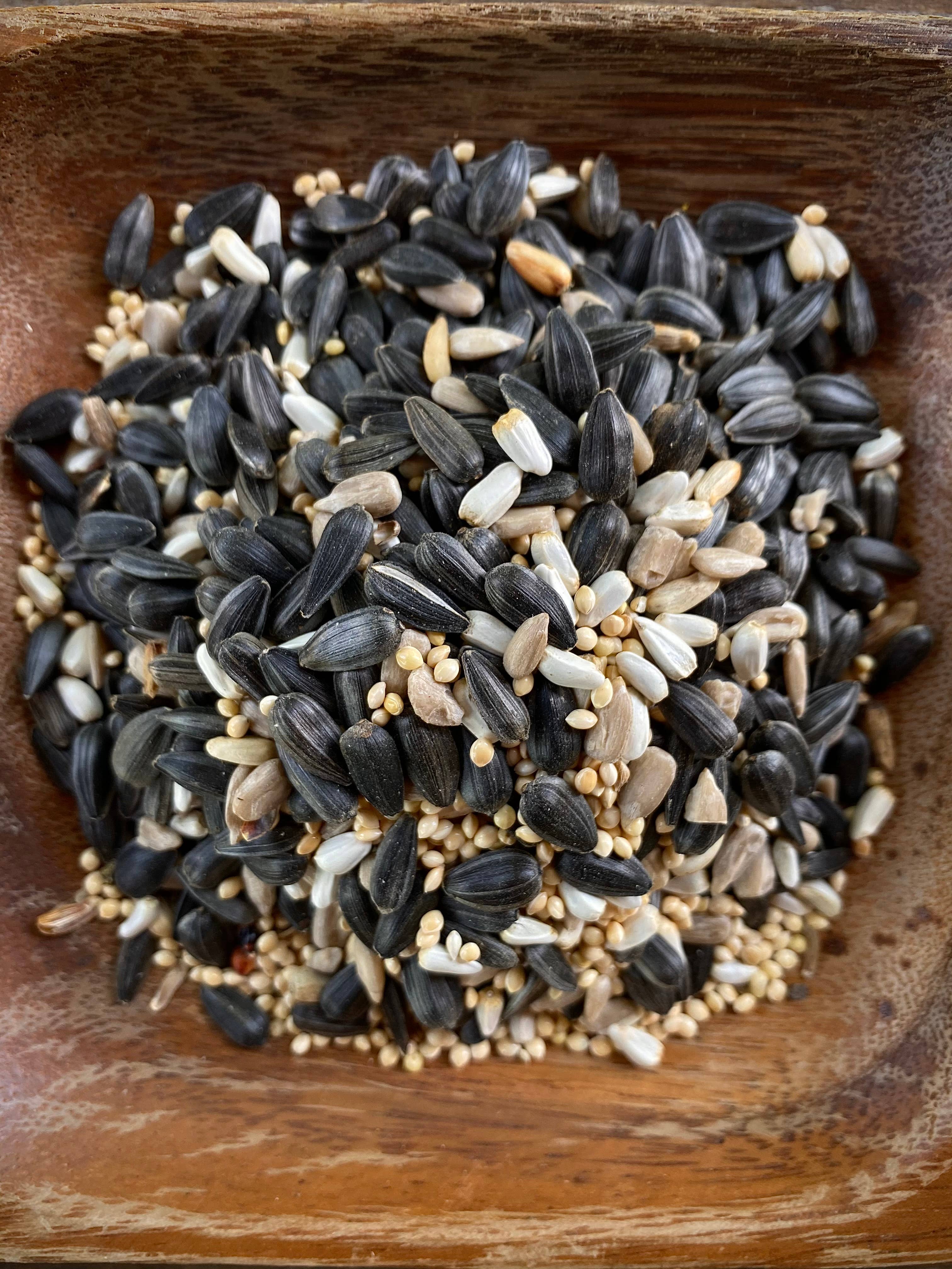 The Native Bird - Wholesale Bird Feeder - Cardinal/Finch/Bunting Blend 2LB - Bird Seed1