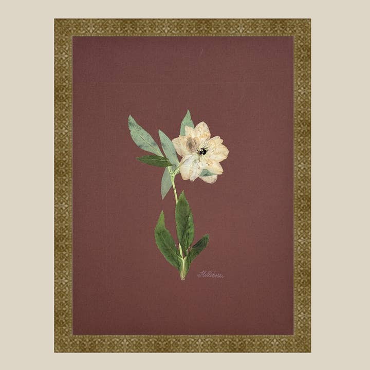 The Fleur De Lis House - Wholesale Sculpture - One-of-a-kind real pressed hellebore on chocolate wall art2