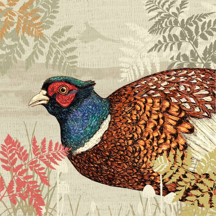 Helen Briggs Design – wholesale Art print – Pheasant Art Print3