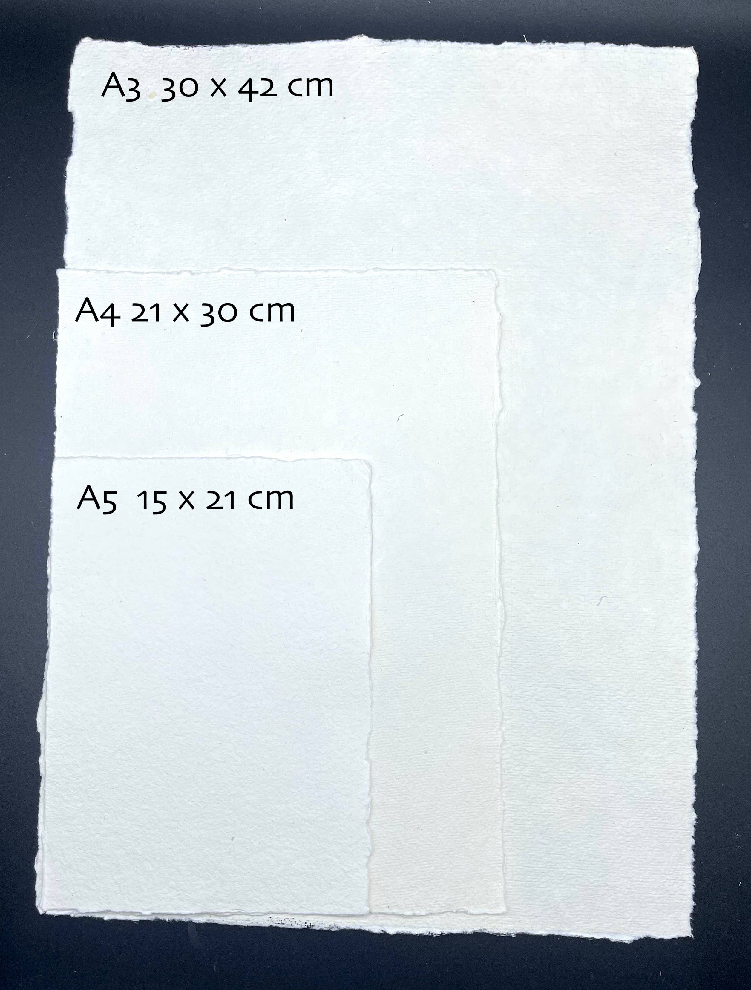 Chartabookbinder - Wholesale Art Print - Moon2