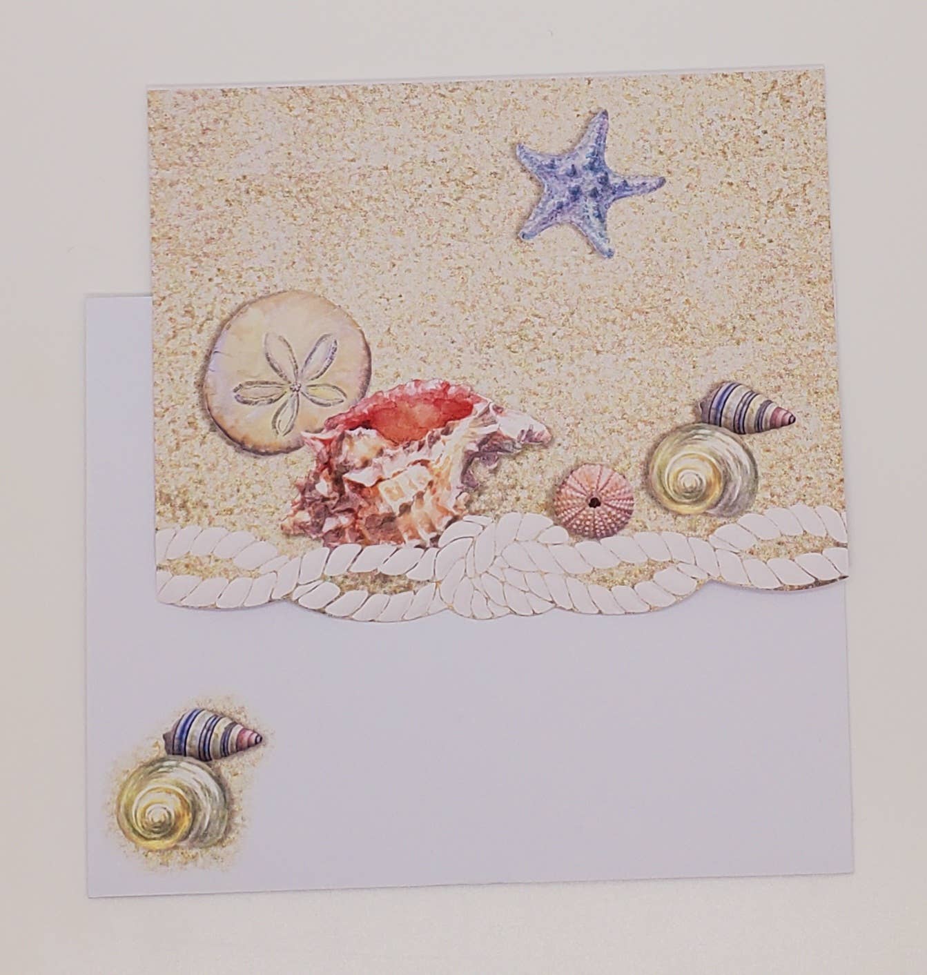 Carol Wilson Fine Arts Inc./For Arts Sake - Wholesale Stationery/Notecard Set - Sea Shell Embossed, Die-Cut Boxed Portfolio Note Ca NCP23433