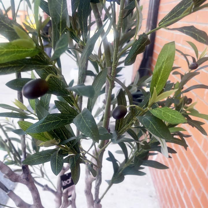 Leaf Design UK LTD - Wholesale Artificial plant - 200cm XL Olive Tree5