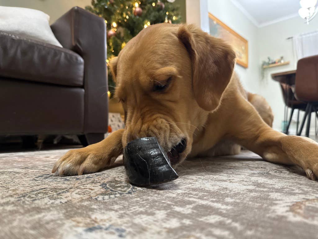 Purely Paws - Wholesale Pet Treats - Dog - Natural Cow Hooves Dog Chews2