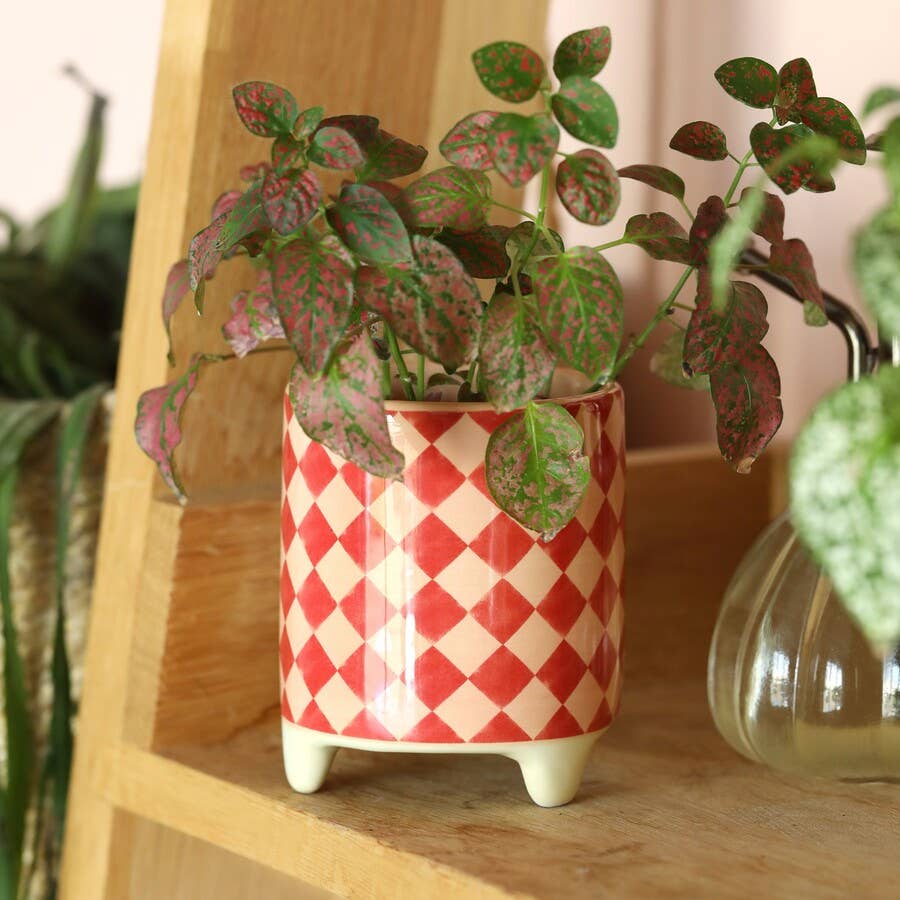 Lisa Angel – wholesale Plant pot – Pink and Red Checkerboard Mini Plant Pot1