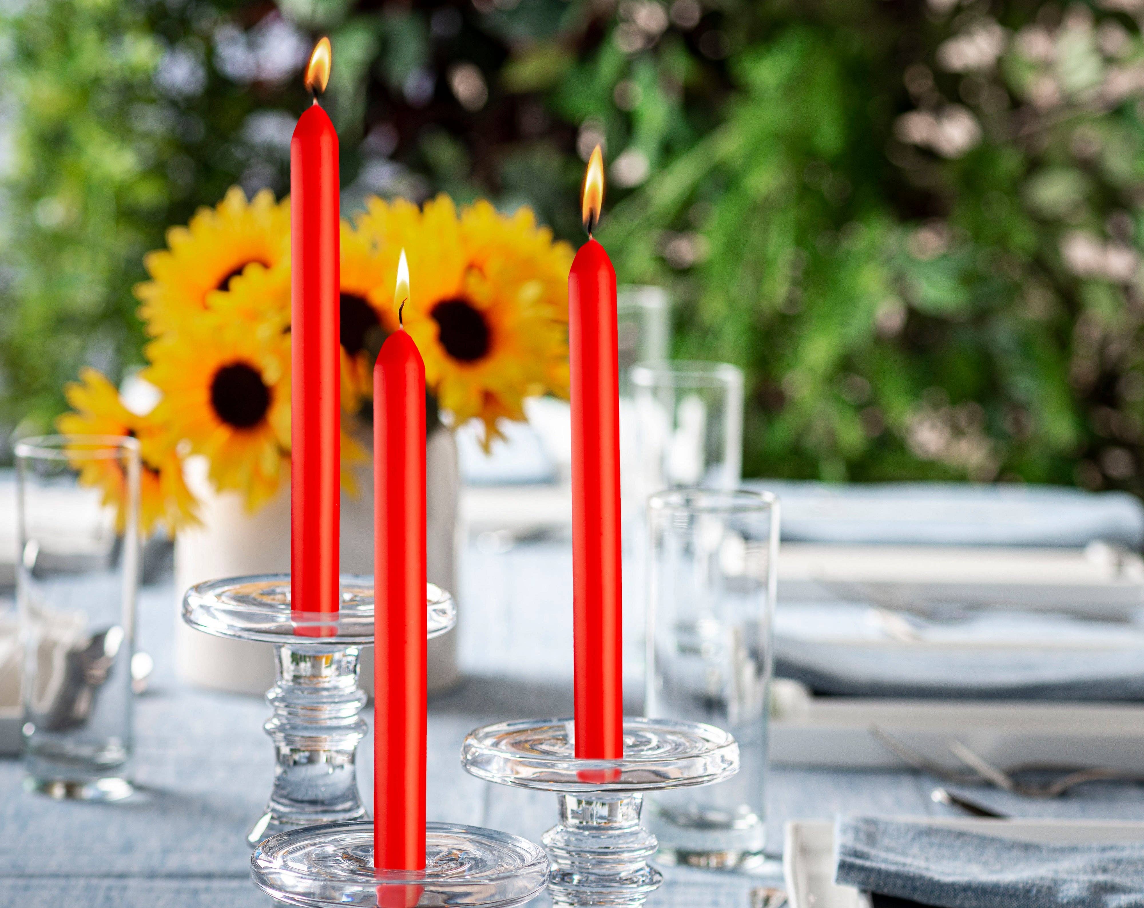 BOLSIUS - Wholesale Tapered Candle/Candlestick - 9 Inch Dinner Taper Candles 10 Pack - Wedding, Decorative, Holiday, Colored Unscented Taper Candles23