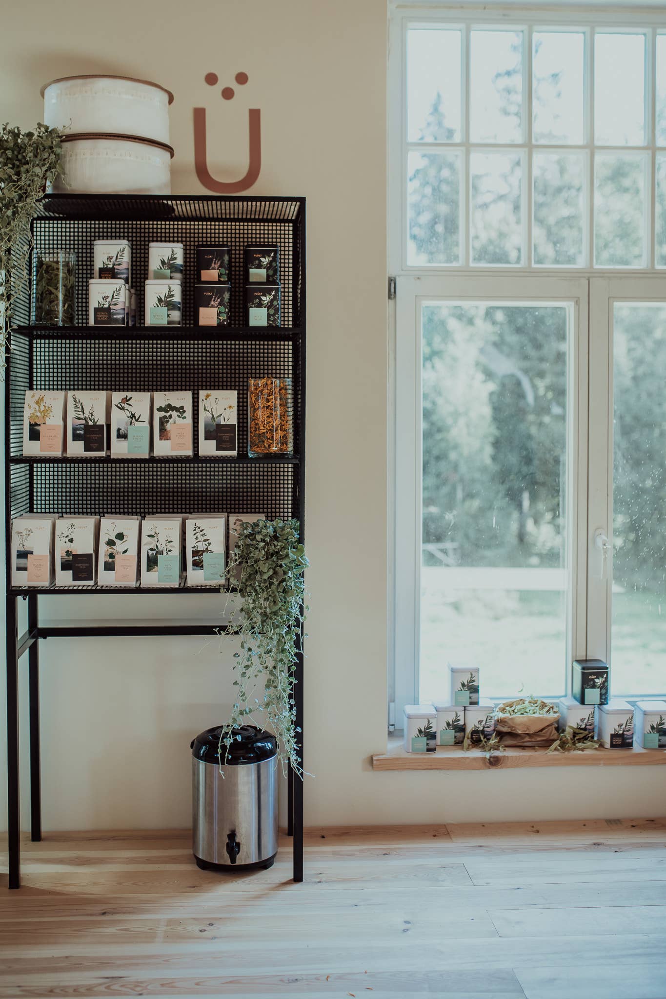 Plūkt - Wholesale Health/Detox Tea - Tea Blend White Night - calming evening herbal , relaxing11