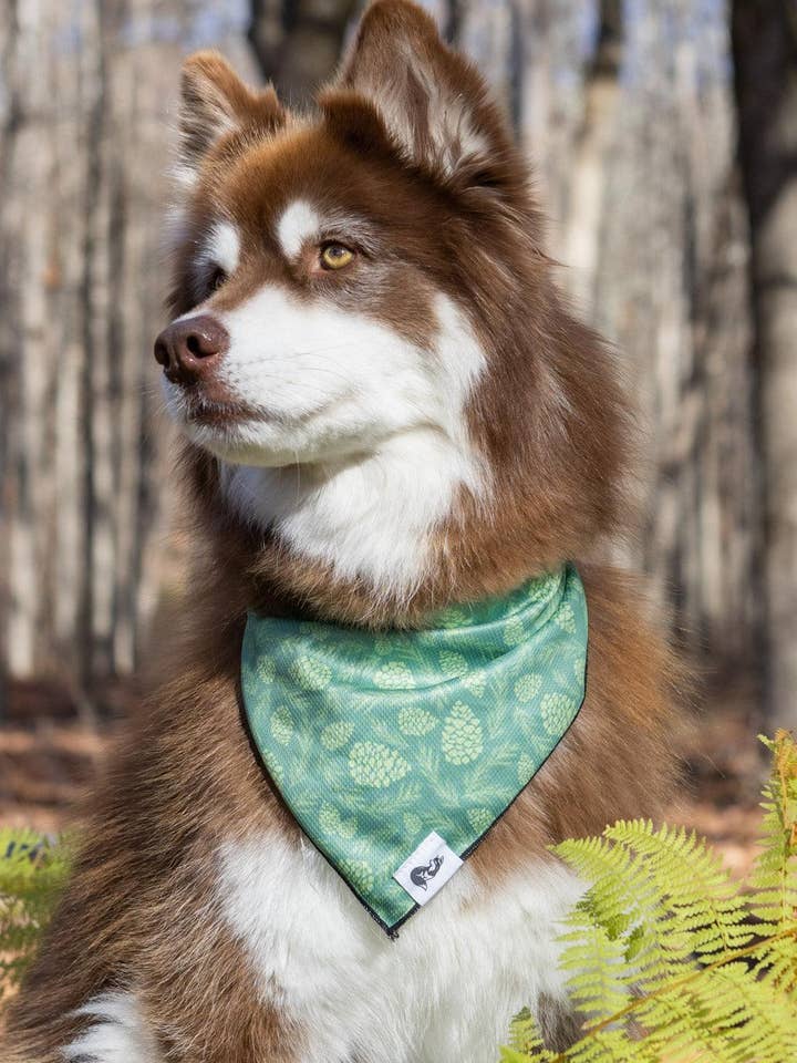 Bandana Pine Cone Pup pour la vente par Aria the Fox
