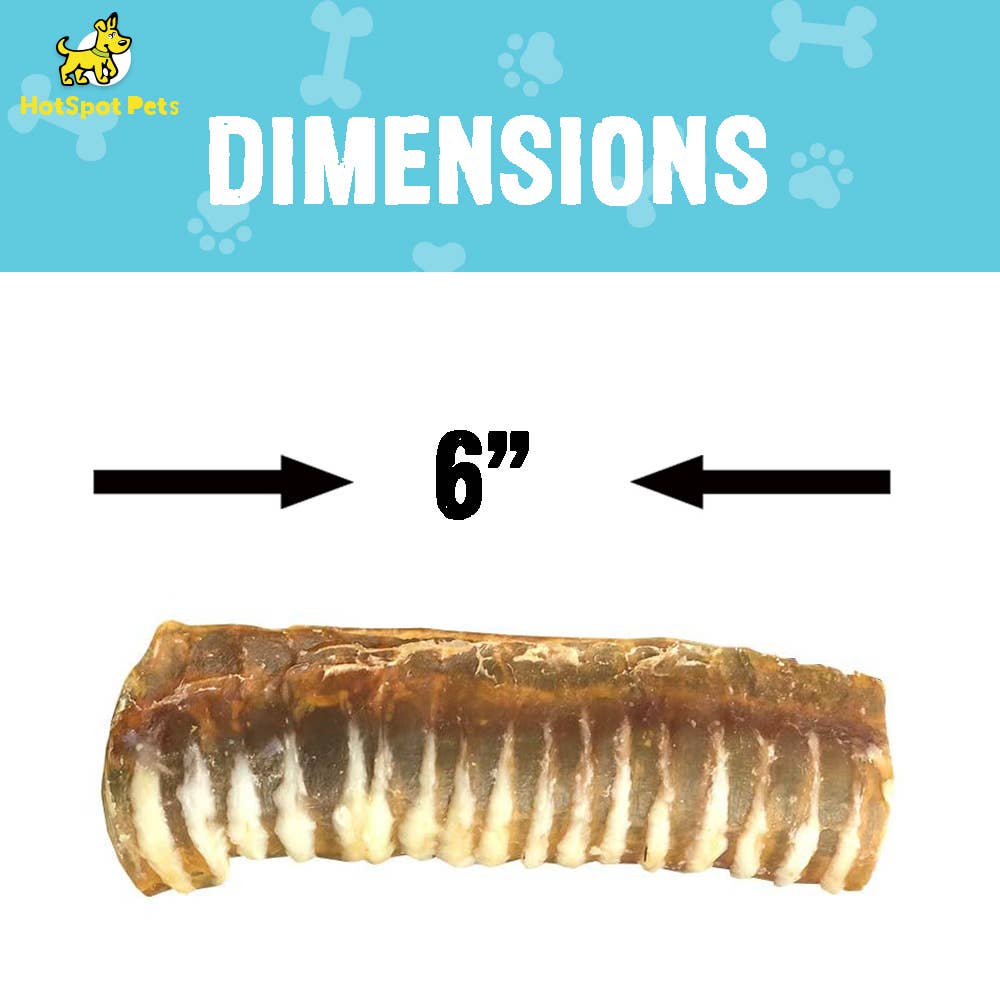 Hotspot Pets - Vente Friandises – chien - Gâteries pour chiens Split All Natural Boeuf Trachée de 6", 12,24 & 50 CNT1