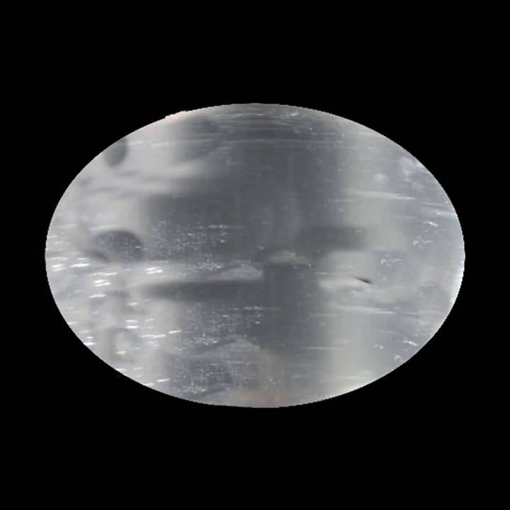 Pierre de palmier en sélénite pour la vente par Geofossils