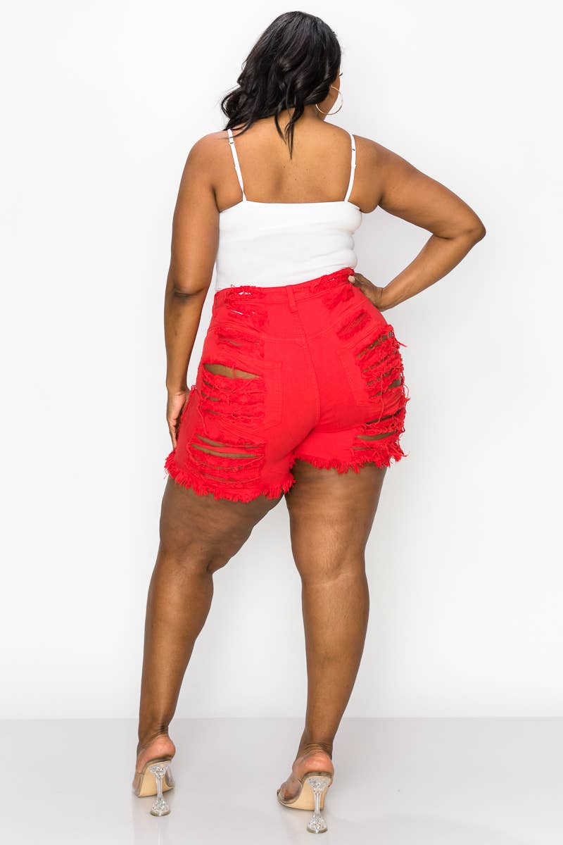 The Map Jeans - Wholesale Shorts - Women's - 8171P4