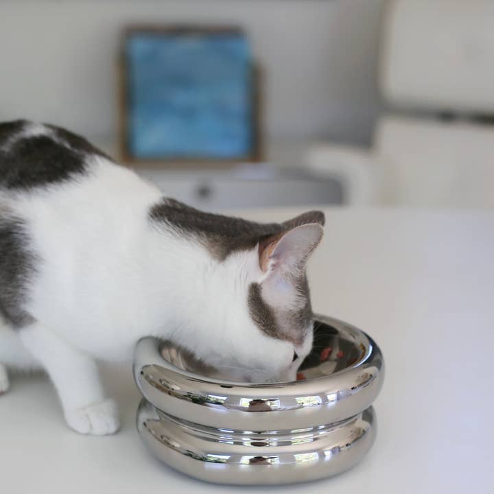 Catenary Home – wholesale Pet bowl – Cat/dog – Chrome Halo Elevated Pet Bowl